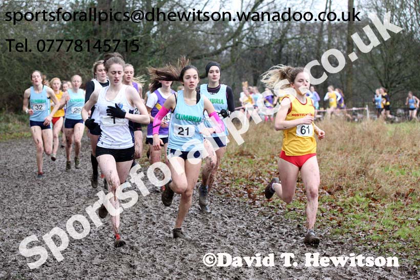 Senior girls Northern Inter Counties Schools Cross Country, Stockton. Photo: David T. Hewitson/Sports for All Pics